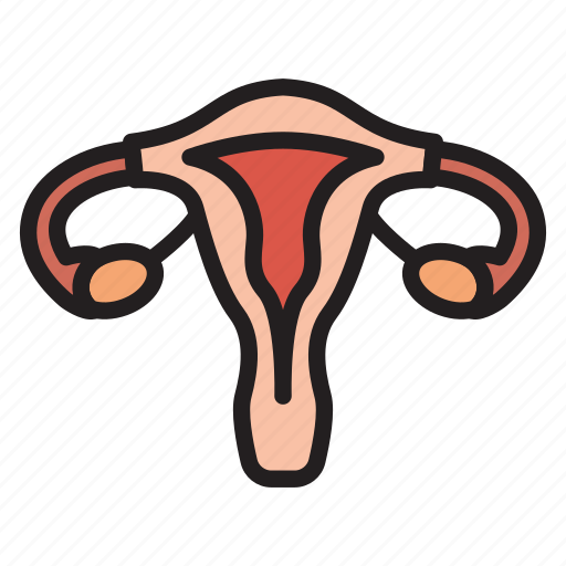 Female, gynecology, organ, uterus, vagina icon - Download on Iconfinder
