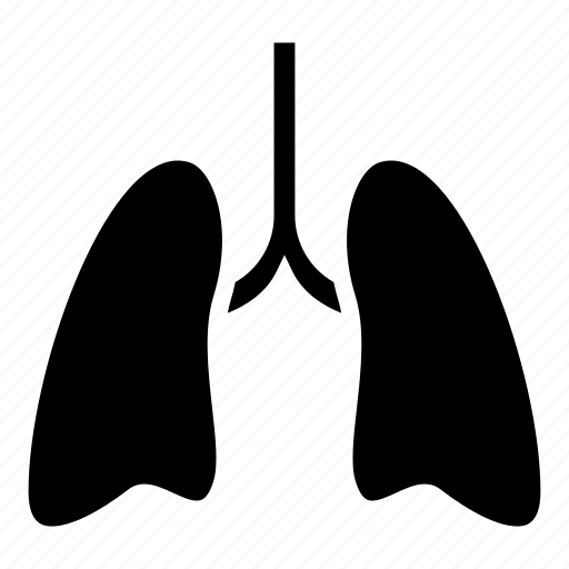 Anatomy, breath, human, lungs, medical, organ, pulmonology icon - Download on Iconfinder