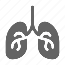 lung, organ, respiratory