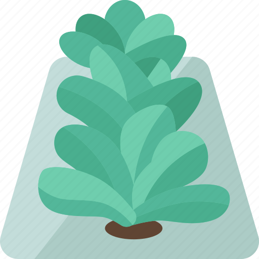 Vegetable, farm, lettuce, hydroponics, agriculture icon - Download on Iconfinder