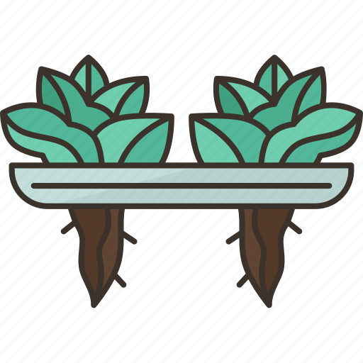 Lettuce, hydroponic, organic, farm, cultivation icon - Download on Iconfinder
