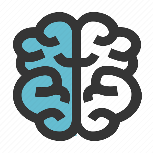 Brain, education, head, school, think, thinking icon - Download on Iconfinder