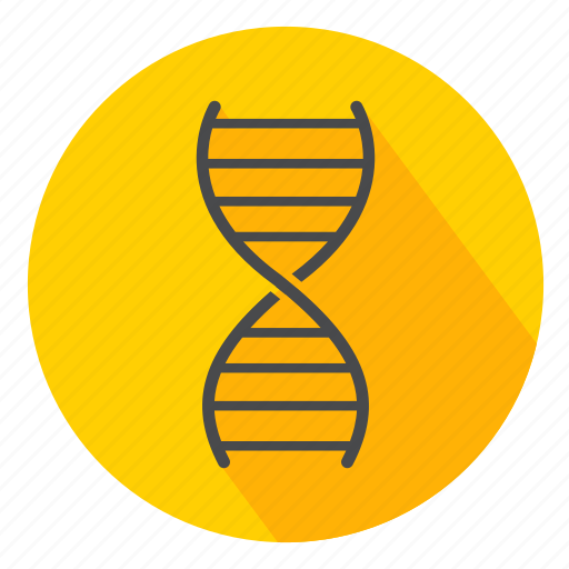 Adn, cells, clonage, clone, genetic, genoma, stem cell icon - Download on Iconfinder