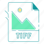 extension, file type, format, image, tiff, type 