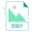 bmp, extension, file type, format, image, type 