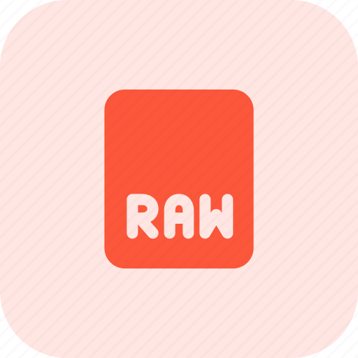 Raw, file, photo, image, files icon - Download on Iconfinder