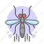 image, all, insect, mosquito, fly 