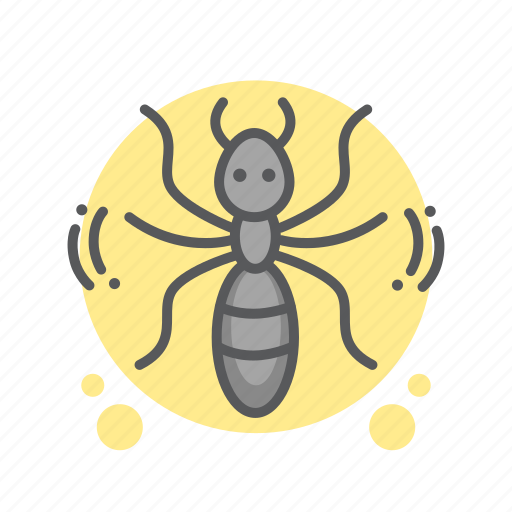Image, all, insect, ant, crawling icon - Download on Iconfinder