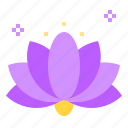 blossom, chakra, flower, hinduism, lotus, nature