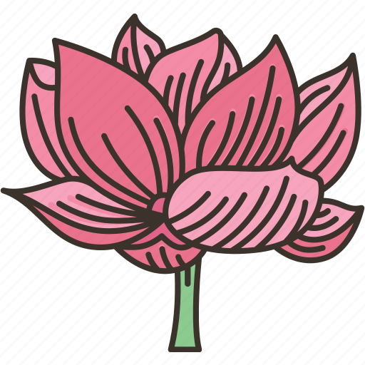 Lotus, flower, plant, aquatic, garden icon - Download on Iconfinder
