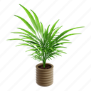 palm, leaf, indoor plant, botanical, gardening, nature, plant, palm leaf, tropical 