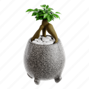 graftes, ficus, bonsai, indoor plant, botanical, gardening, nature, plant, ficus bonsai, miniature, artistry 