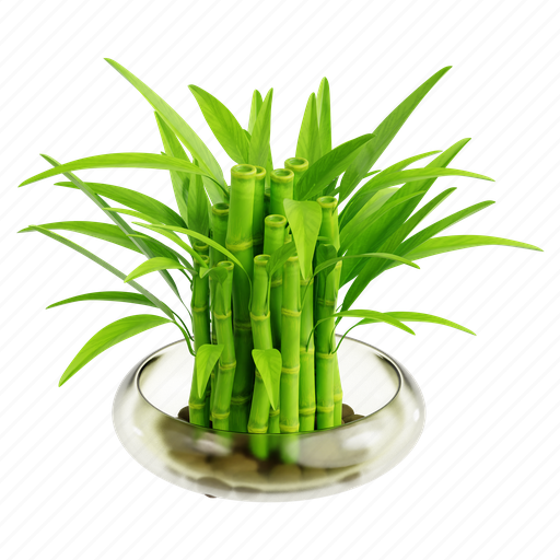 Chines, water, bamboo, indoor plant, botanical, gardening, nature 3D illustration - Download on Iconfinder