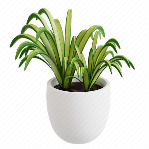 Spider, plant, indoor plant, botanical, gardening, nature, spider plant 3D illustration - Download on Iconfinder