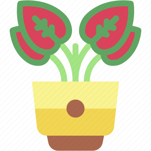 Red, aglaonema, plants, gardening, plant, pot, botanical icon - Download on Iconfinder
