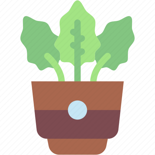Calathea, plant, pot, home, decoration, gardening, indoor icon - Download on Iconfinder