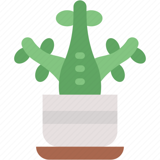 Jade, plant, pot, decoration, indoor, plants, botanical icon - Download on Iconfinder