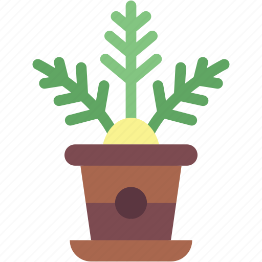 Lady, palm, indoor, plants, botanical, gardening, pot icon - Download on Iconfinder