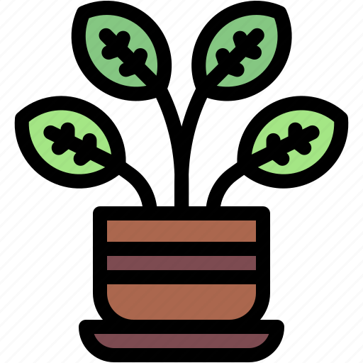 Calathea, plant, indoor, house, plants, home, decor icon - Download on Iconfinder