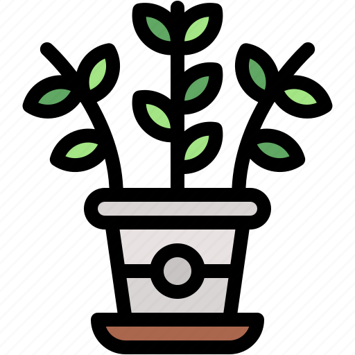 Zz, plant, indoor, gardening, decor, nature, botany icon - Download on Iconfinder