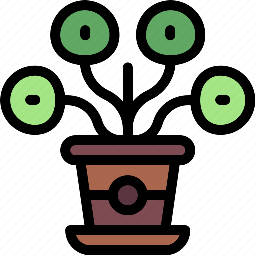 Pilea, gardening, nature, botanical, indoor, plants, pot icon - Download on Iconfinder