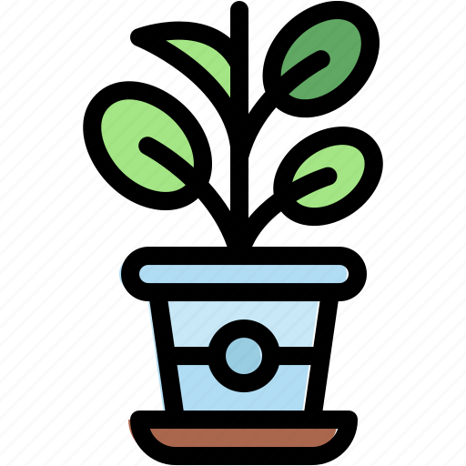 Rubber, plant, gardening, pot, nature, home, decoration icon - Download on Iconfinder