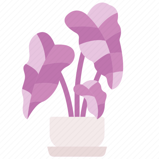 Arrowhead, plant, monstera, leaf, pink, botanical, jungle icon - Download on Iconfinder