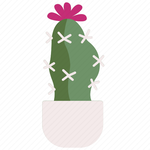 Moon, cactus, botanical, dry, plant icon - Download on Iconfinder