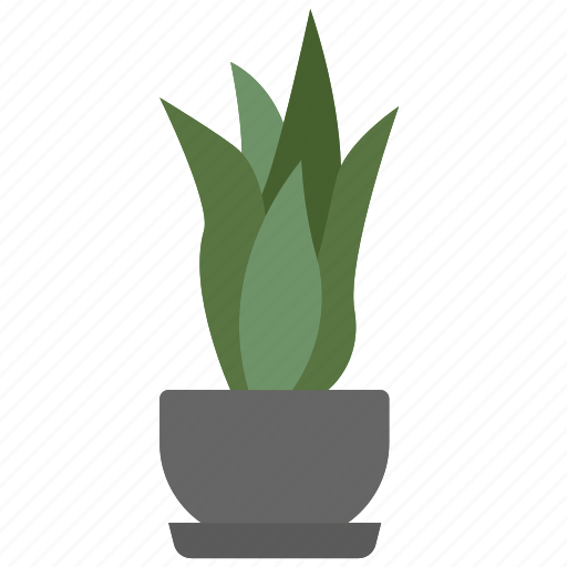 Snake, plant, pot, botanical, decoration icon - Download on Iconfinder