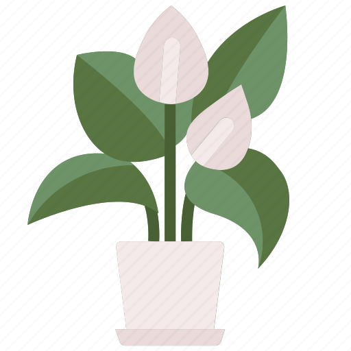 Anthurium, blossom, flowers, petals, botanical icon - Download on Iconfinder