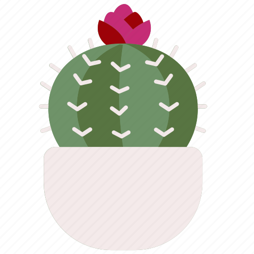 Cactus, botanical, dessert, dry, plant icon - Download on Iconfinder