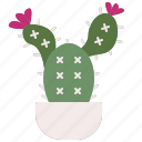 cactus, botanical, garden, dessert, dry