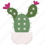 cactus, botanical, garden, dessert, dry 