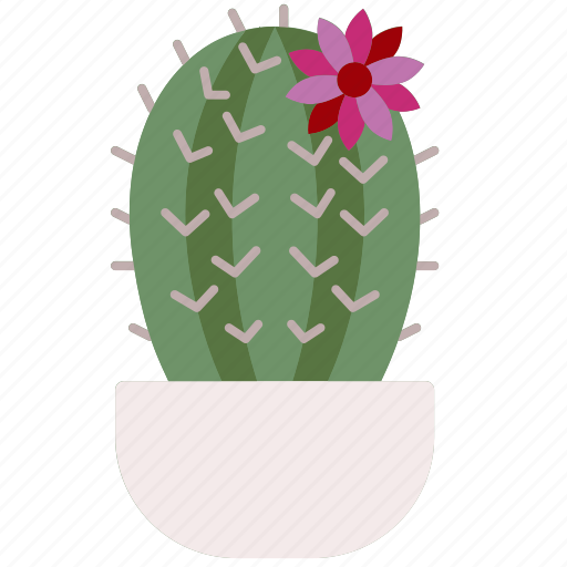 Cactus, nature, plant, dessert, dry icon - Download on Iconfinder