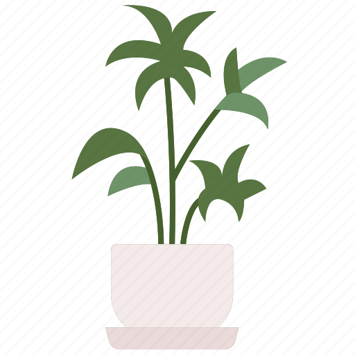 Lady, palm, leaf, petals, jungle, landscape icon - Download on Iconfinder