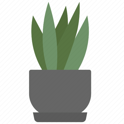 Sansevieria, nature, pot, trifasciata icon - Download on Iconfinder