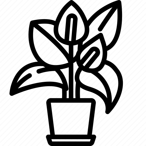 Anthurium, plant, nature, blossom, flowers, petals, botanical icon - Download on Iconfinder
