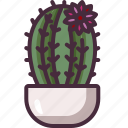 cactus, nature, plant, farming, gardening, botanical, garden, dessert, dry