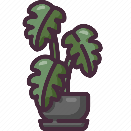 Monstera, leaf, nature, indoor, plants, jungle, tree icon - Download on Iconfinder