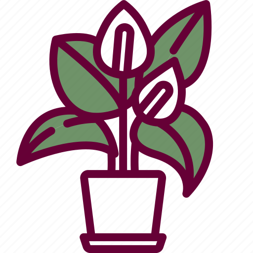 Anthurium, plant, nature, blossom, flowers, petals, botanical icon - Download on Iconfinder
