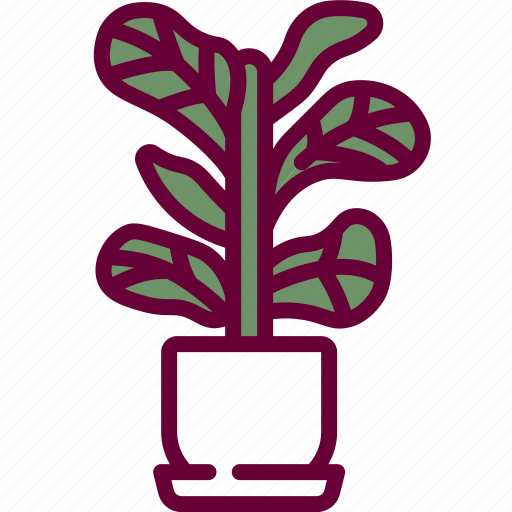 Fiddle, leaf, fig, botany, indoor, plants, farming icon - Download on Iconfinder