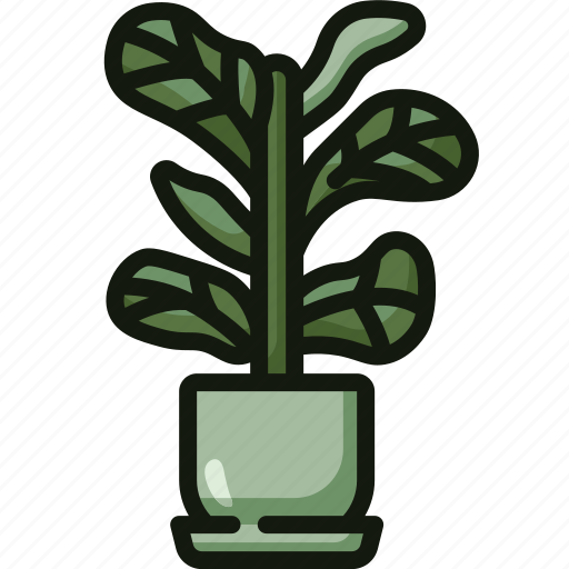 Fiddle, leaf, fig, botany, indoor, plants, decor icon - Download on Iconfinder