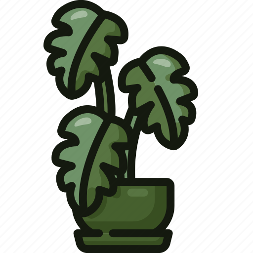 Monstera, leaf, nature, indoor, plants, jungle, house icon - Download on Iconfinder