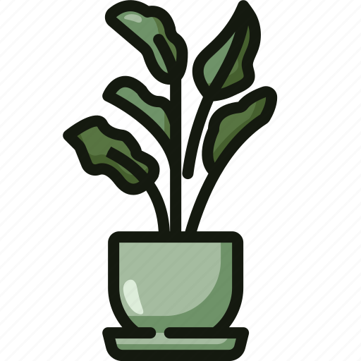 Plant, indoor, plants, nature, jungle, botanical, blossom icon - Download on Iconfinder