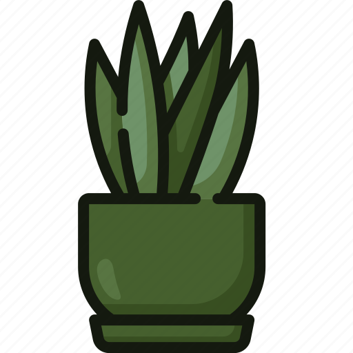 Sansevieria, nature, gardening, plants, pot, trifasciata, house icon - Download on Iconfinder