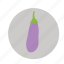 brinjal, eggplant, vegetable 