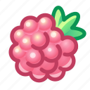 raspberry, berry, food