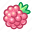 raspberry, berry, food 