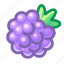 blackberry, berry, food 