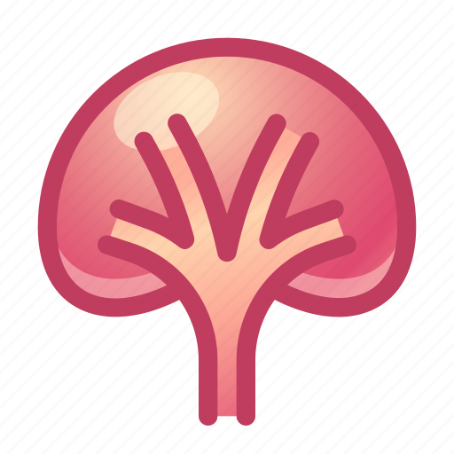 Kidney, organ, anatomy icon - Download on Iconfinder